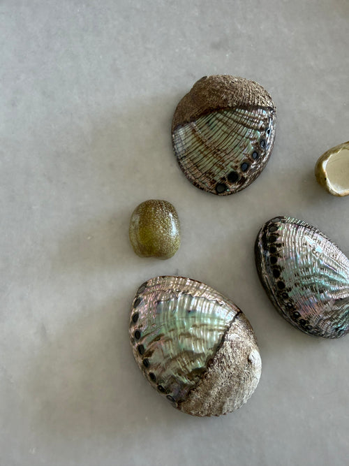 Abalone Shell Bowl – Ritual Smudging & Luxury Skincare Vessel