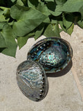 Abalone Shell Bowl – Ritual Smudging & Luxury Skincare Vessel